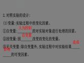 5.1降低化学反应活化能的酶 第1课时 课件 高一上学期 人教版（2019）高中生物必修一