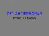 5.4.2光合作用的原理 课件 高一上学期 人教版（2019）高中生物必修一