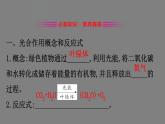 5.4.2光合作用的原理 课件 高一上学期 人教版（2019）高中生物必修一