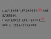 5.4.2光合作用的原理 课件 高一上学期 人教版（2019）高中生物必修一