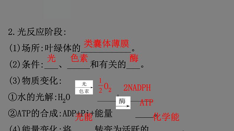 5.4.2光合作用的原理 课件 高一上学期 人教版（2019）高中生物必修一08