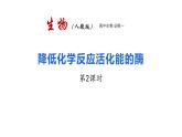 5.1降低化学反应活化能的酶 第2课时 课件 高一上学期人教版（2019）高中生物必修一