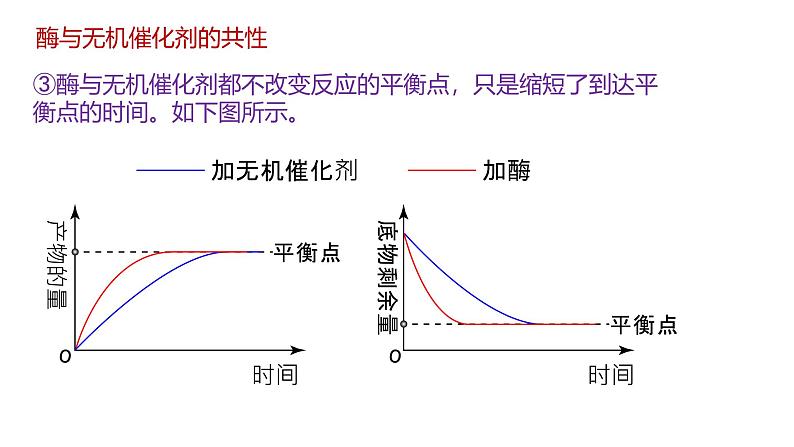 5.1降低化学反应活化能的酶 第2课时 课件 高一上学期人教版（2019）高中生物必修一05