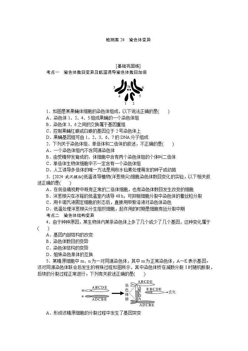 2025届高中生物全程复习构想检测课时训练24染色体变异（Word版附解析）第1页