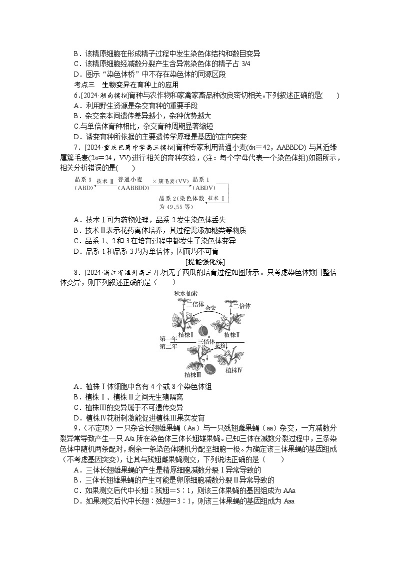 2025届高中生物全程复习构想检测课时训练24染色体变异（Word版附解析）第2页
