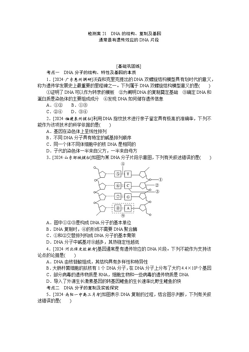 2025届高中生物全程复习构想检测课时训练21DNA的结构、复制及基因（Word版附解析）01