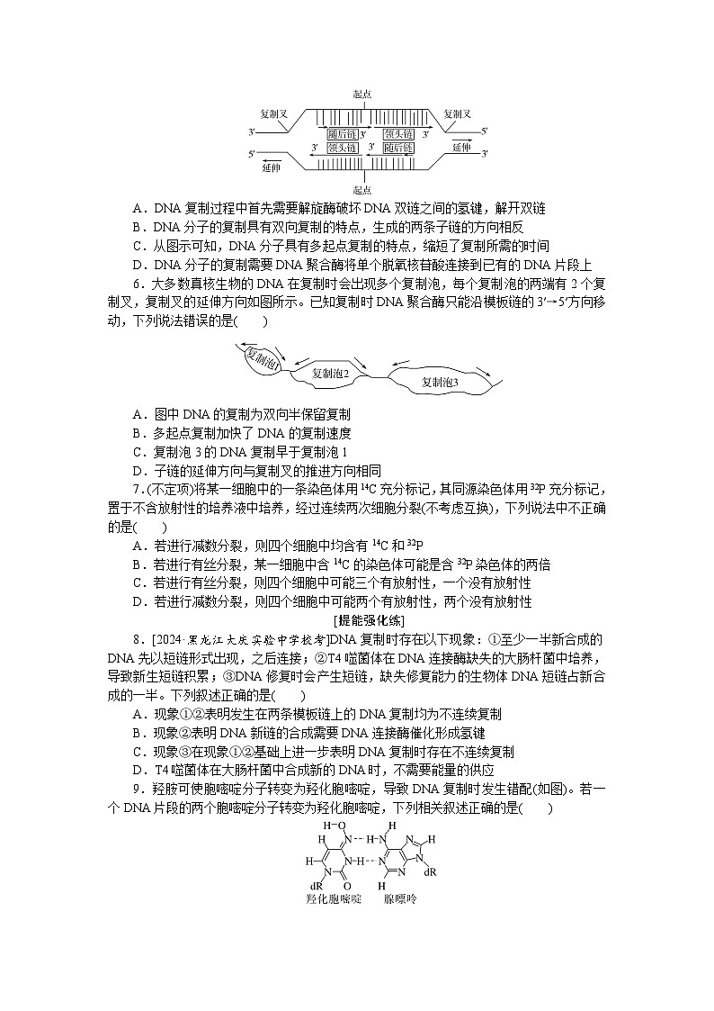 2025届高中生物全程复习构想检测课时训练21DNA的结构、复制及基因（Word版附解析）02