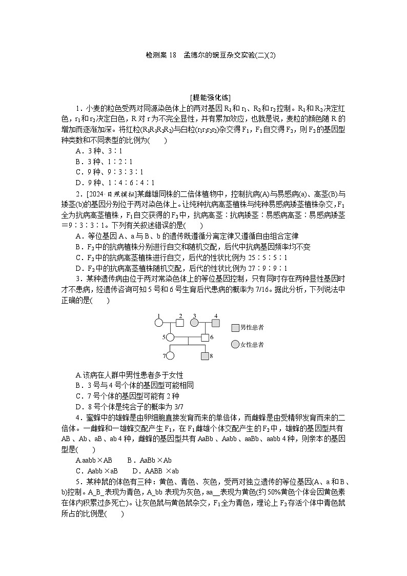 2025届高中生物全程复习构想检测课时训练18孟德尔的豌豆杂交实验(二)(2)（Word版附解析）01