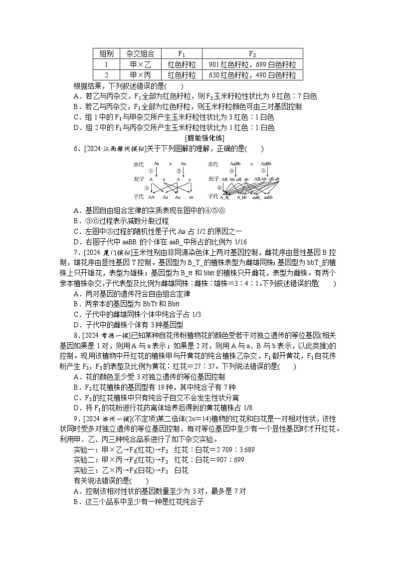 2025届高中生物全程复习构想检测课时训练17孟德尔的豌豆杂交实验(二)(1)（Word版附解析）第2页