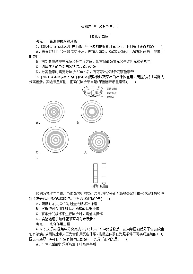 2025届高中生物全程复习构想检测课时训练10光合作用(一)（Word版附解析）第1页