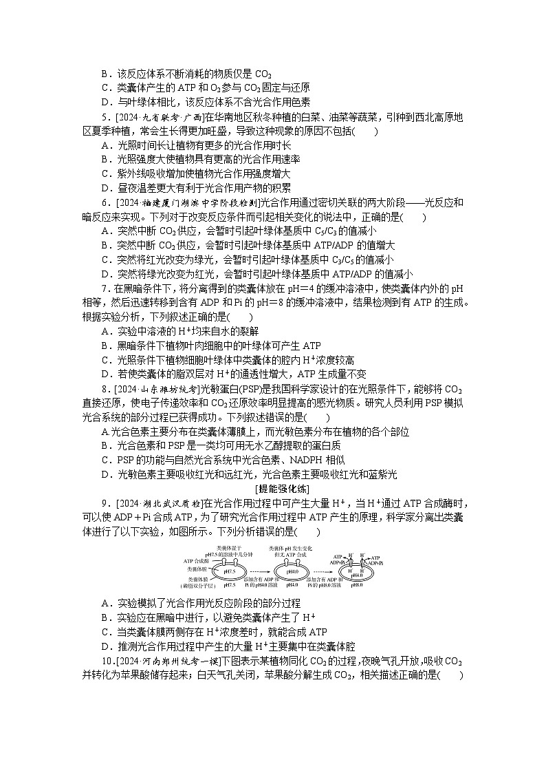 2025届高中生物全程复习构想检测课时训练10光合作用(一)（Word版附解析）第2页