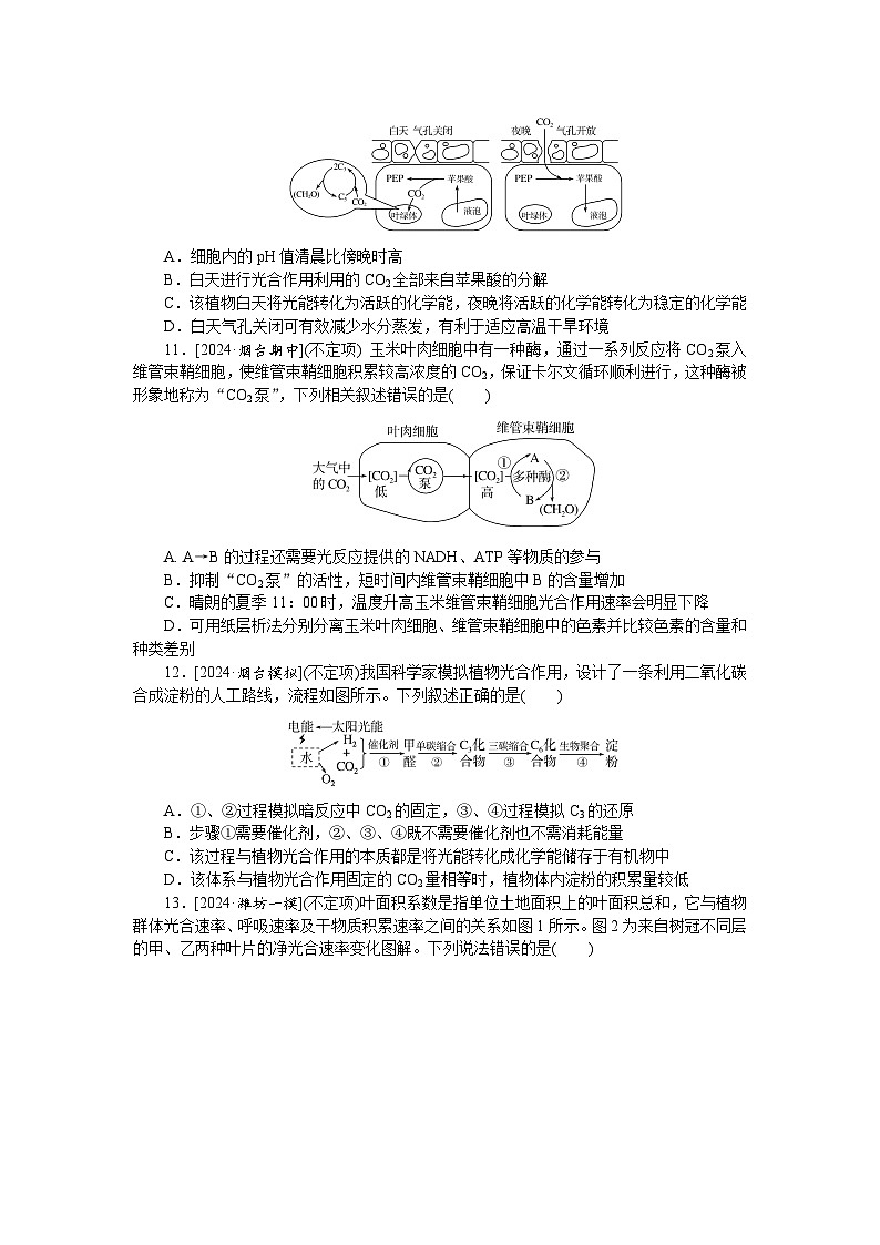2025届高中生物全程复习构想检测课时训练10光合作用(一)（Word版附解析）第3页