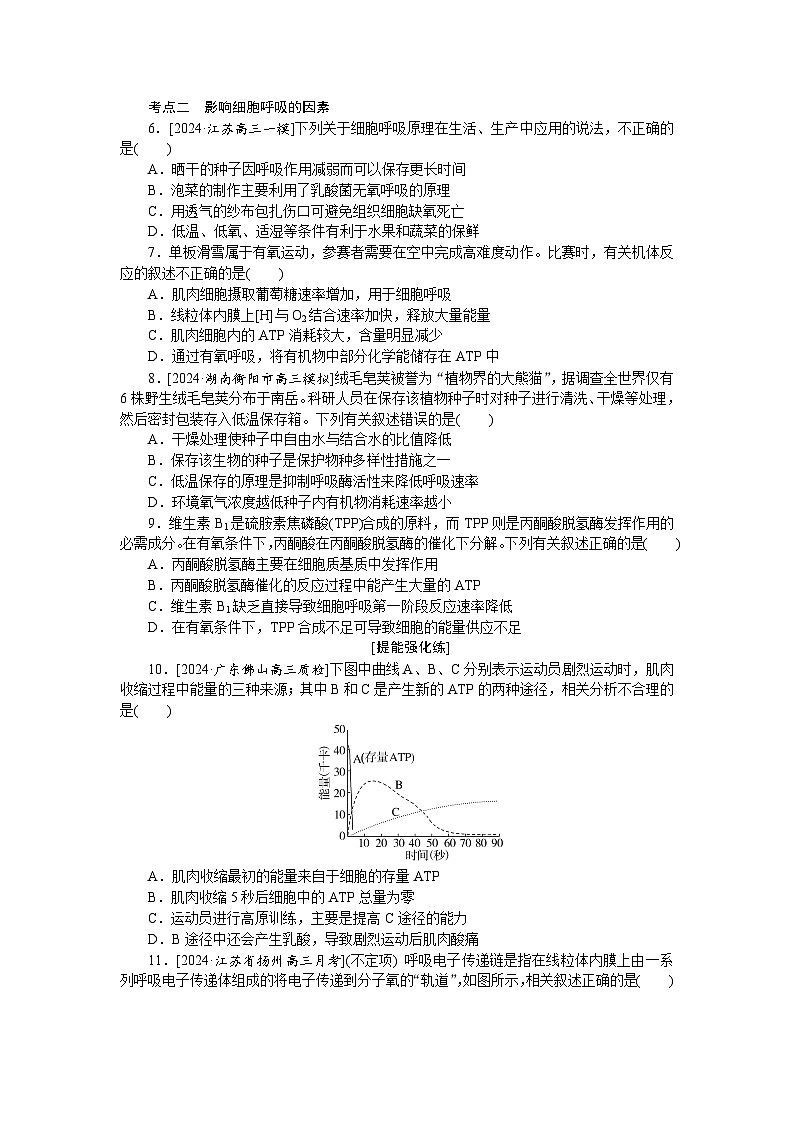 2025届高中生物全程复习构想检测课时训练9细胞呼吸（Word版附解析）第2页