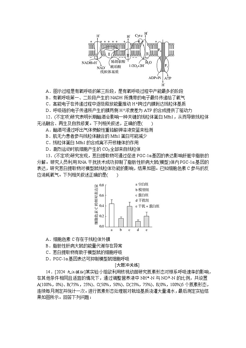 2025届高中生物全程复习构想检测课时训练9细胞呼吸（Word版附解析）第3页