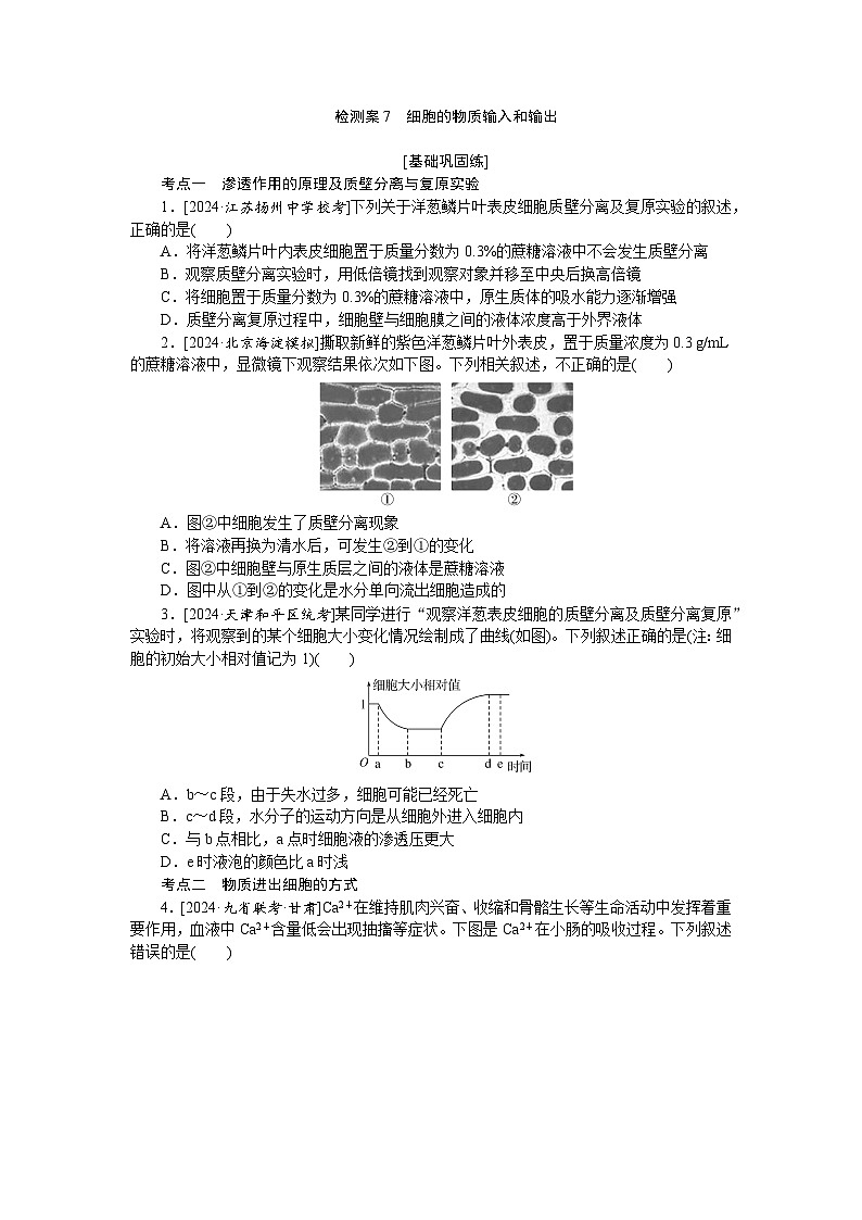 2025届高中生物全程复习构想检测课时训练7细胞的物质输入和输出（Word版附解析）第1页