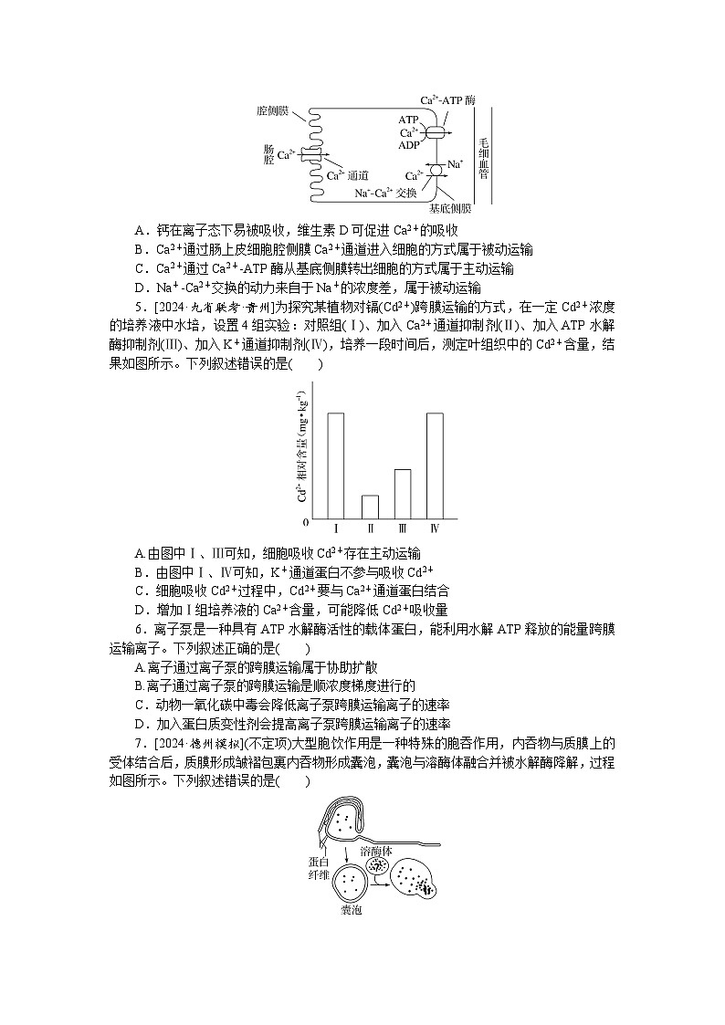 2025届高中生物全程复习构想检测课时训练7细胞的物质输入和输出（Word版附解析）第2页