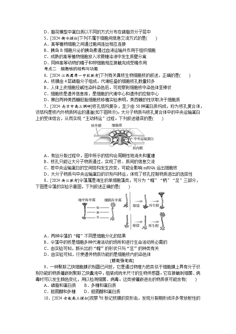 2025届高中生物全程复习构想检测课时训练5细胞膜与细胞核（Word版附解析）02