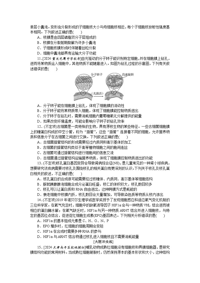 2025届高中生物全程复习构想检测课时训练5细胞膜与细胞核（Word版附解析）03