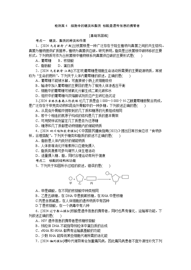 2025届高中生物全程复习构想检测课时训练4细胞中的糖类和脂质 核酸是遗传信息的携带者（Word版附解析）第1页