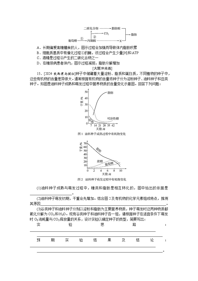 2025届高中生物全程复习构想检测课时训练4细胞中的糖类和脂质 核酸是遗传信息的携带者（Word版附解析）第3页