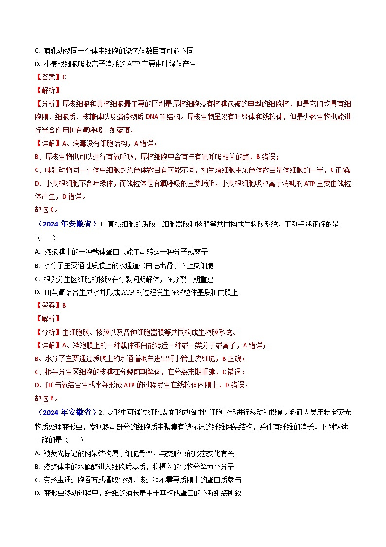 2024年高考真题和模拟题生物分类汇编（全国通用）专题02 细胞的结构和功能（解析版）02