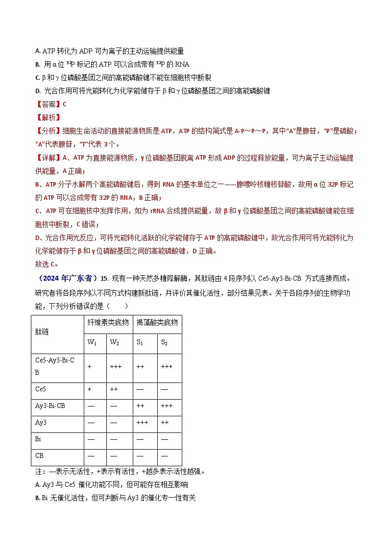 2024年高考真题和模拟题生物分类汇编（全国通用）专题04 ATP和酶（解析版）02