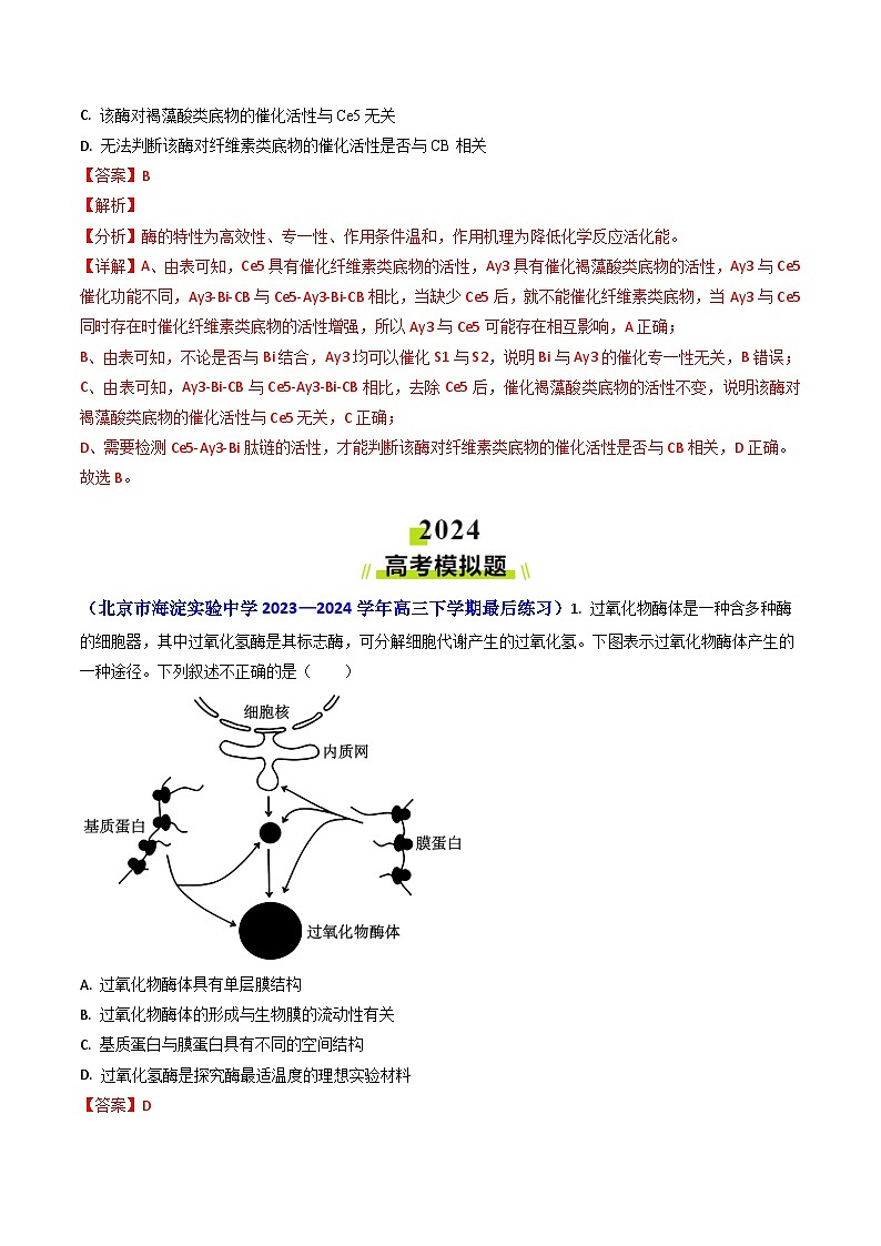 2024年高考真题和模拟题生物分类汇编（全国通用）专题04 ATP和酶（解析版）03