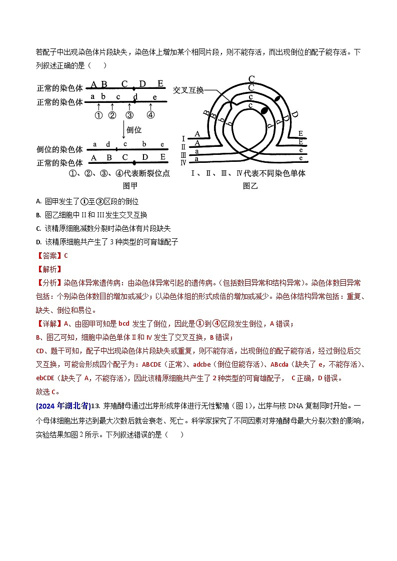 2024年高考真题和模拟题生物分类汇编（全国通用）专题06 细胞的增殖（解析版）02