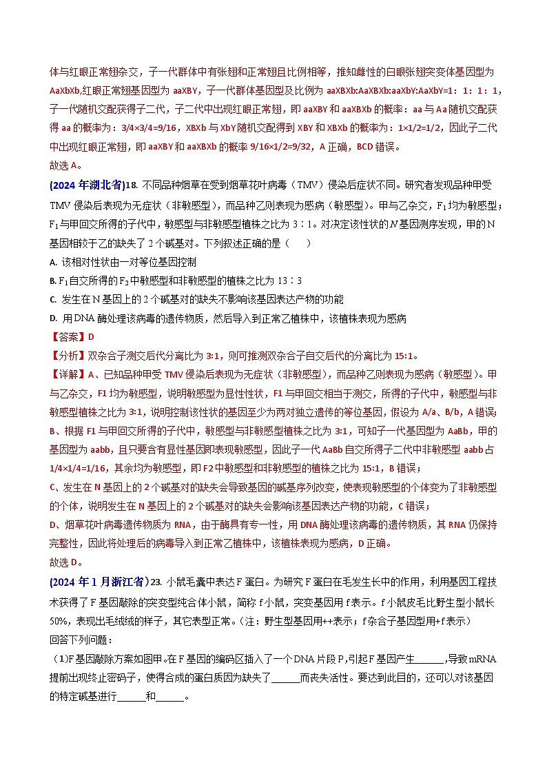 2024年高考真题和模拟题生物分类汇编（全国通用）专题08 遗传规律和应用（解析版）02