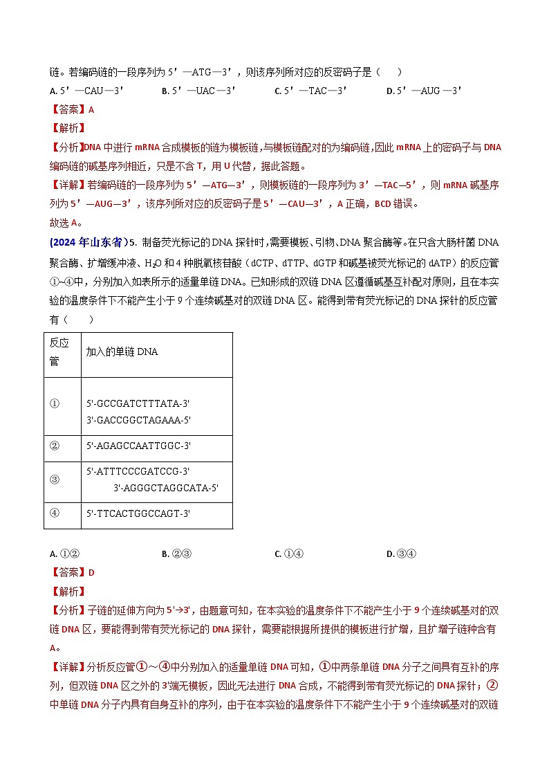 2024年高考真题和模拟题生物分类汇编（全国通用）专题09 遗传的分子基础（解析版）03