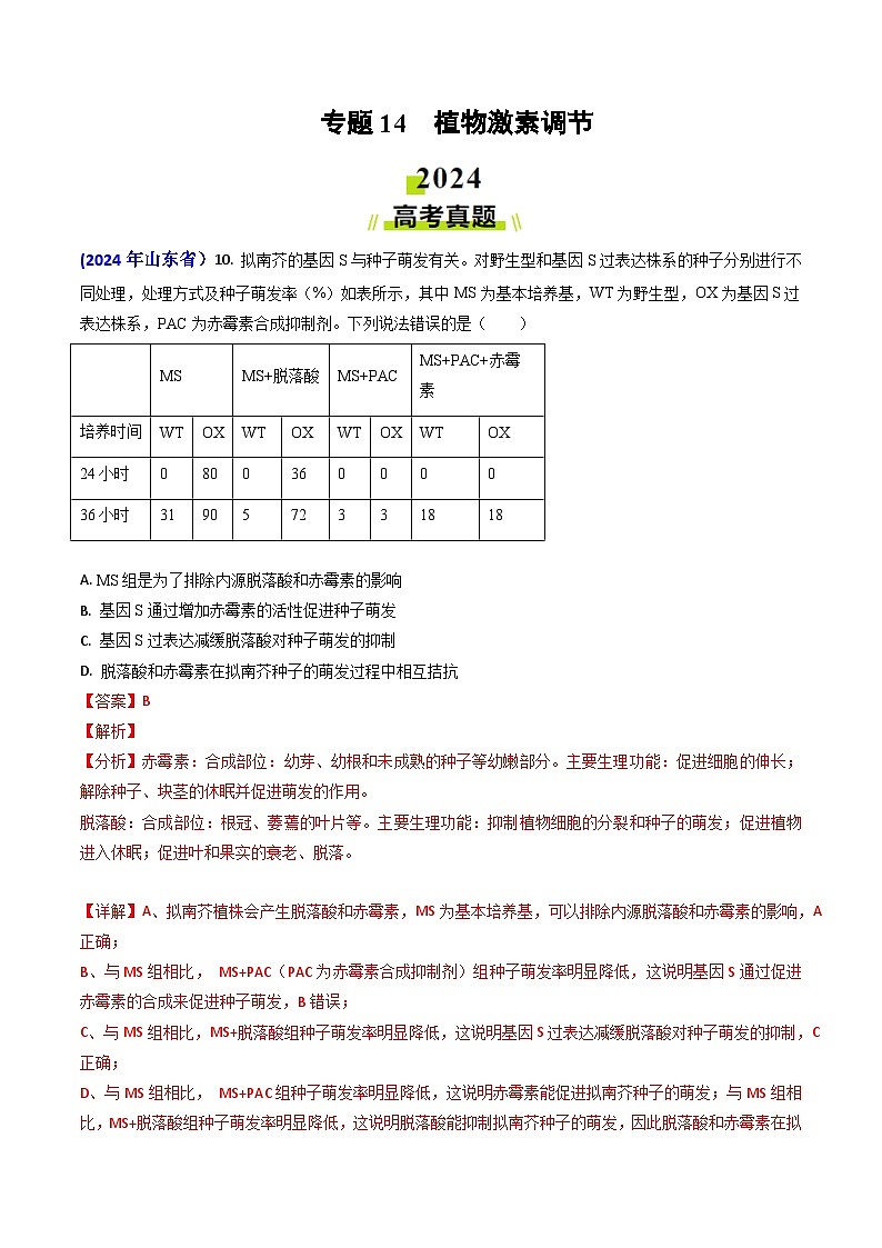 2024年高考真题和模拟题生物分类汇编（全国通用）专题14 植物激素调节（解析版）01