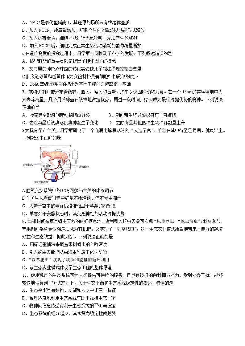 2024广东省华南师大附中高三下学期三模试题生物含答案第2页