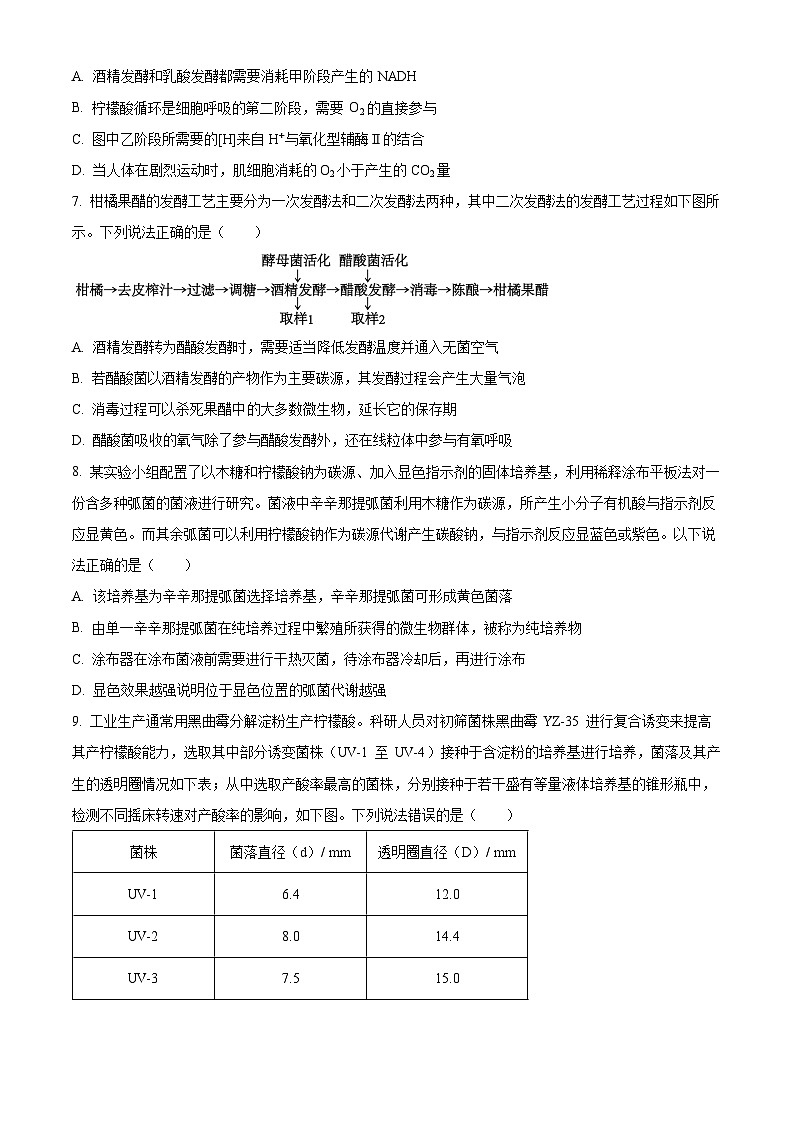 2024济南高二下学期7月期末考试生物含解析03