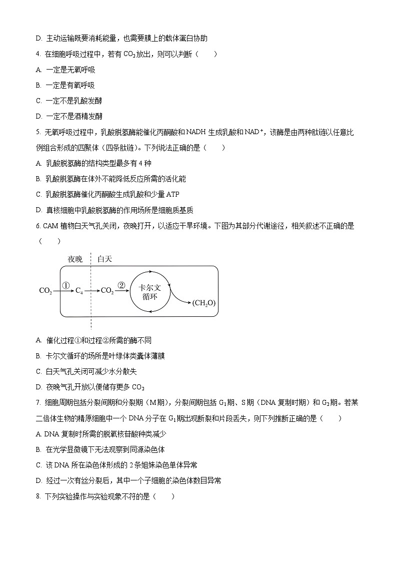2024北京丰台区高二下学期7月期末考试生物含解析02