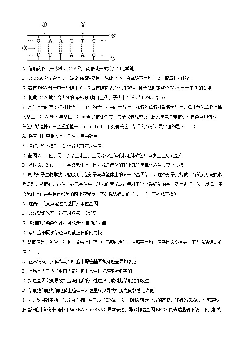 河南省信阳市2023-2024学年高一下学期7月期末考试生物试题（Word版附解析）02