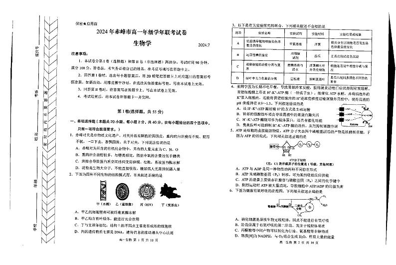 内蒙古自治区赤峰市2023-2024学年高一下学期7月期末考试生物试题（PDF版附答案）01