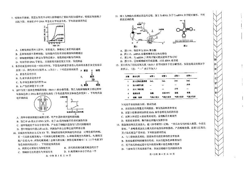 内蒙古自治区赤峰市2023-2024学年高一下学期7月期末考试生物试题（PDF版附答案）02