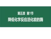 5.1降低化学反应活化能的酶 课件 高一上学期 人教版（2019）高中生物必修一
