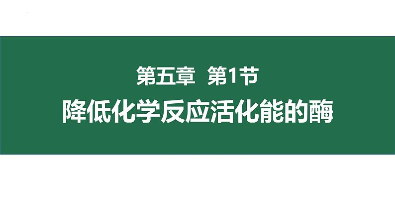 5.1降低化学反应活化能的酶 课件 高一上学期 人教版（2019）高中生物必修一第1页