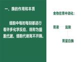5.1降低化学反应活化能的酶 课件 高一上学期 人教版（2019）高中生物必修一