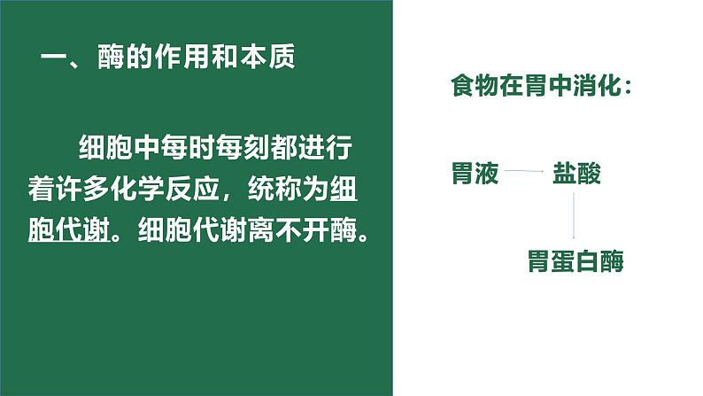 5.1降低化学反应活化能的酶 课件 高一上学期 人教版（2019）高中生物必修一第4页