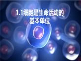 人教版高中生物必修一第一章第一节细胞是生命活动的基本单位（课时1）课件