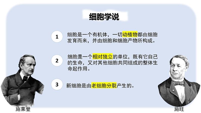 人教版高中生物必修一第一章第一节细胞是生命活动的基本单位（课时1）课件06