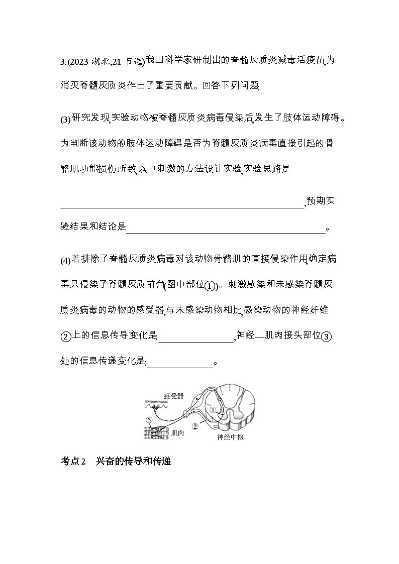人教版高中生物选择性必修1稳态与调节第2章神经调节综合拔高练含答案02
