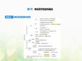 人教版高中生物选择性必修1稳态与调节第2章神经调节第1节神经调节的结构基础课件