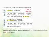 人教版高中生物选择性必修1稳态与调节第2章神经调节第1节神经调节的结构基础课件
