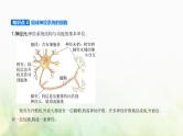 人教版高中生物选择性必修1稳态与调节第2章神经调节第1节神经调节的结构基础课件