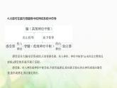 人教版高中生物选择性必修1稳态与调节第2章神经调节第2节神经调节的基本方式课件