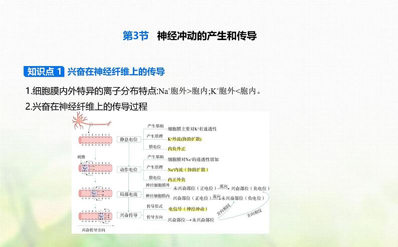 人教版高中生物选择性必修1稳态与调节第2章神经调节第3节神经冲动的产生和传导课件第1页