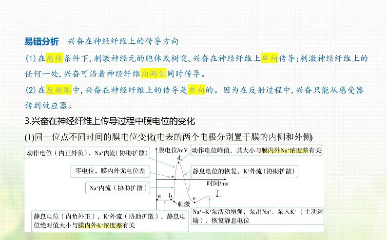 人教版高中生物选择性必修1稳态与调节第2章神经调节第3节神经冲动的产生和传导课件第2页